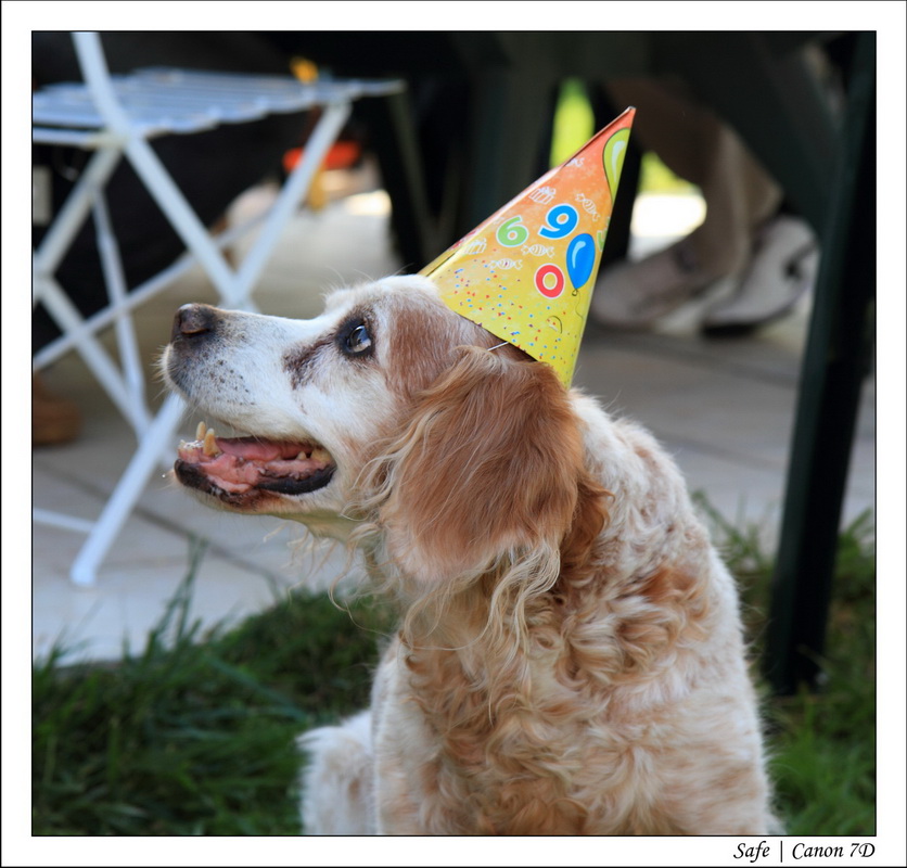 2011 - 08 - HCFR chez Fabrice 14